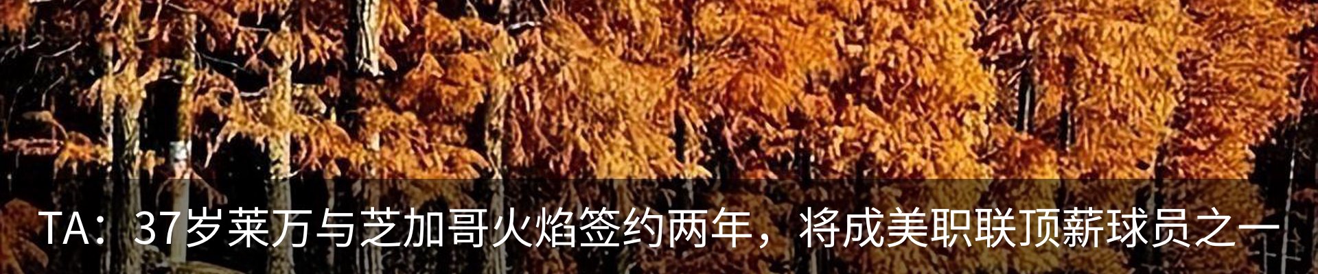 行业资讯